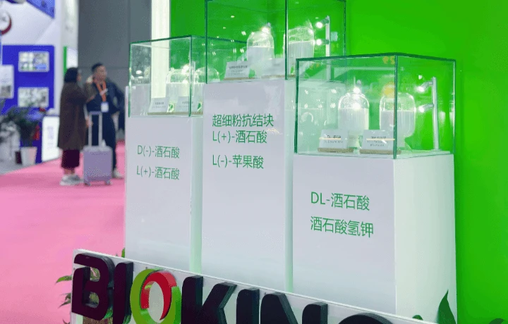 FIC2024现场直击|一睹6686体育官网精彩瞬间